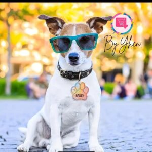 Accesorios para mascotas